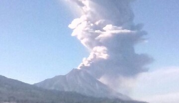 ​В ФФУ назвали нормальной наценку в 50% при заказе материалов для покрытия полей