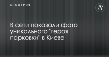 В мережі показали фото унікального "героя парковки" в Києві