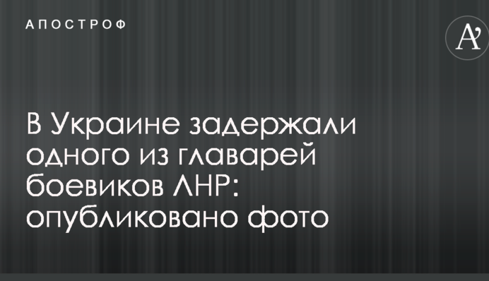 В Україні затримали одного з ватажків бойовиків ЛНР: опубліковано фото