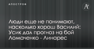 Люди еще не понимают, насколько хорош Василий: Усик дал прогноз на бой Ломаченко - Линарес