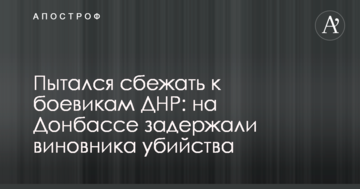 Намагався втекти до бойовиків ДНР: на Донбасі затримали винуватця вбивства