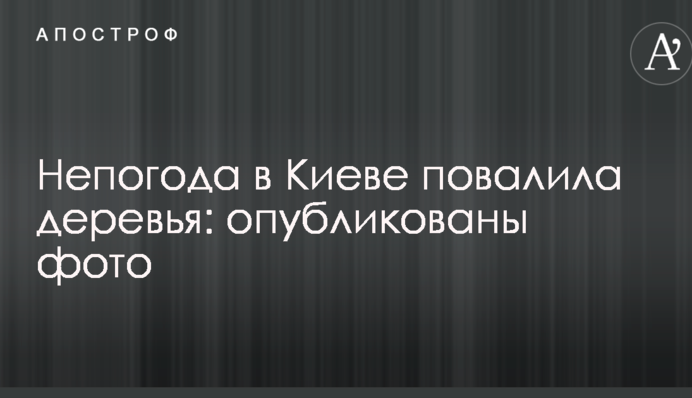 Негода в Києві повалила дерева: опубліковано фото