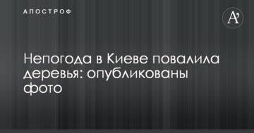 Негода в Києві повалила дерева: опубліковано фото
