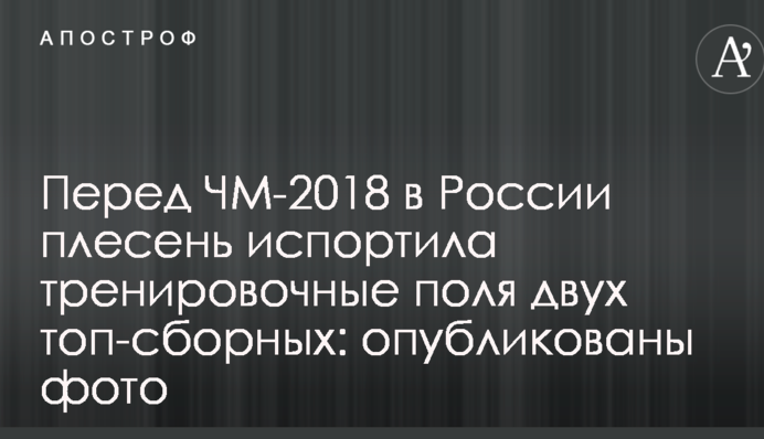 Перед ЧС-2018 в Росії цвіль зіпсувала тренувальні поля двох топ-збірних: опубліковані фото.