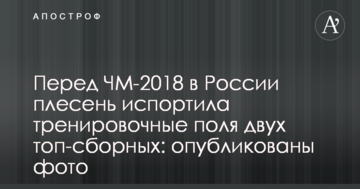 Перед ЧМ-2018 в России плесень испортила тренировочные поля двух топ-сборных: опубликованы фото
