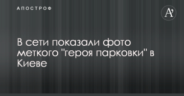 В мережі показали фото влучного "героя парковки" в Києві