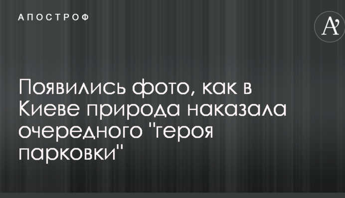 Появились фото, как в Киеве природа наказала очередного 