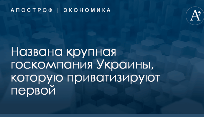 ​Приватизация в Украине: названа крупная госкомпания, которую пустят с молотка первой