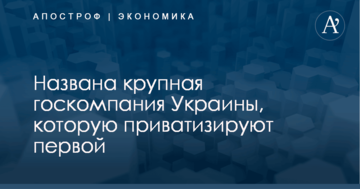 ​Приватизация в Украине: названа крупная госкомпания, которую пустят с молотка первой
