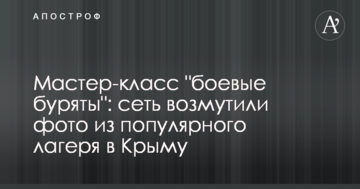 Мастер-класс "боевые буряты": сеть возмутили фото из популярного лагеря в Крыму