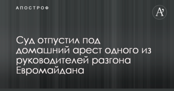 Суд отпустил под домашний арест одного из руководителей разгона Евромайдана