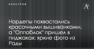Нардепи похвалилися барвистими вишиванками, а "Оппоблок" прийшов в піджаках: яскраві фото з Ради
