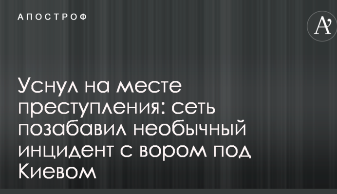 Заснув на місці злочину: мережу потішив незвичайний інцидент зі злодієм під Києвом