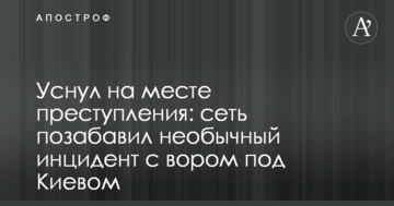 Заснув на місці злочину: мережу потішив незвичайний інцидент зі злодієм під Києвом