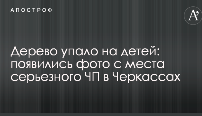 Дерево впало на дітей: з'явилися фото з місця серйозної НП у Черкасах