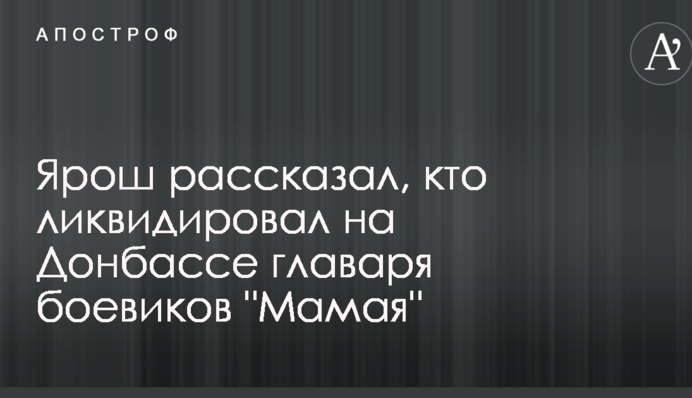 Ярош рассказал, кто ликвидировал на Донбассе главаря боевиков 
