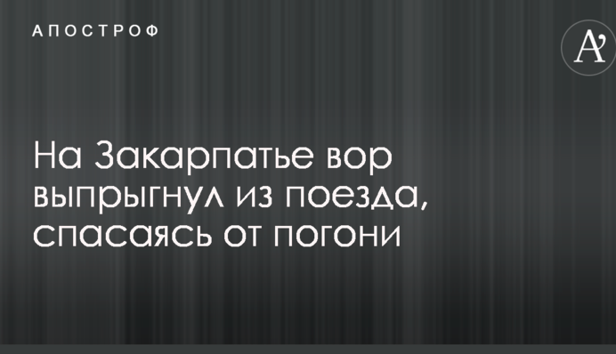 На Закарпатье вор выпрыгнул из поезда, спасаясь от погони: опубликованы фото и видео