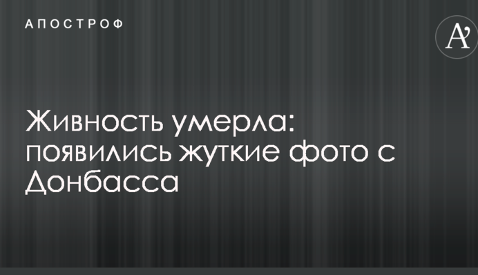 Живність померла: з'явилися моторошні фото з Донбасу