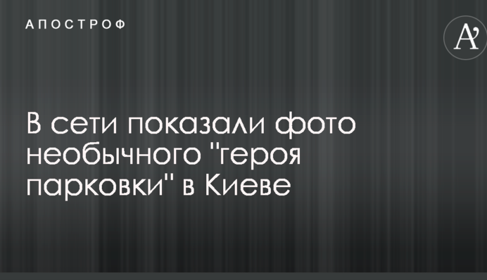 В сети показали фото необычного 