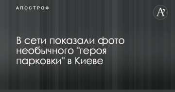 У мережі показали фото незвичайного "героя парковки" в Києві