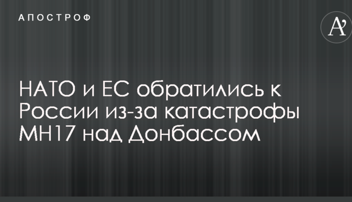НАТО и ЕС обратились к России из-за катастрофы МН17 над Донбассом