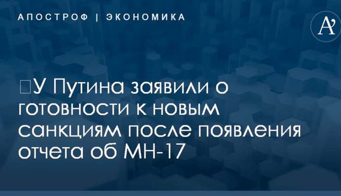 ​У Путина заявили о готовности к новым санкциям после появления отчета об MH-17