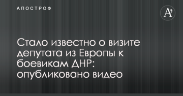 Стало відомо про візит депутата з Європи до бойовиків ДНР: опубліковано відео