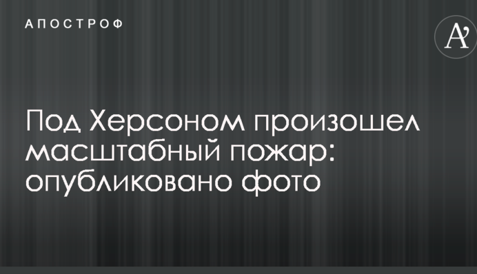 Під Херсоном сталася масштабна пожежа: опубліковано фото