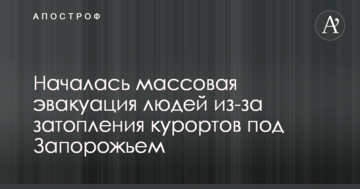 Финал Лиги чемпионов: стало известно, сколько иностранных болельщиков посетило Киев