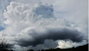 ​Украинцы объединяются для продления льготного ввоза машин из США