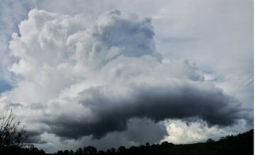 ​Украинцы объединяются для продления льготного ввоза машин из США