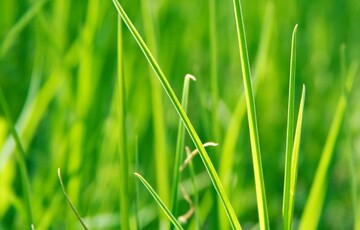 Мама Роналду высказала пожелание о будущем клубе своего сына