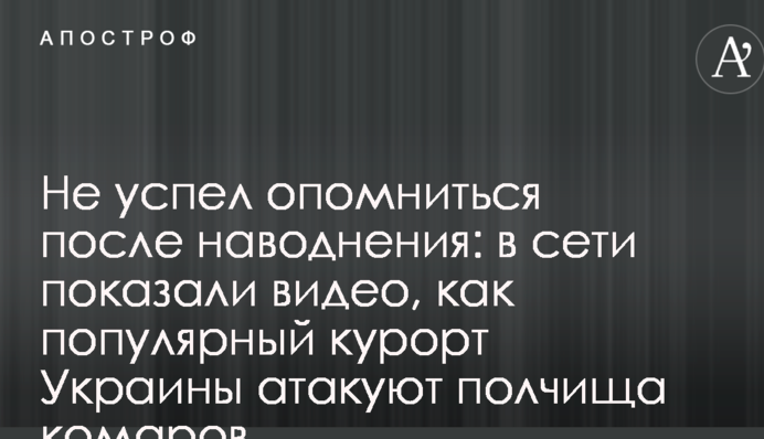 Не встиг отямитися після повені: в мережі показали відео, як популярний курорт України атакують полчища комарів