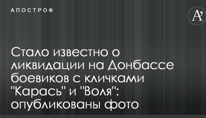 Стало известно о ликвидации на Донбассе боевиков с кличками 