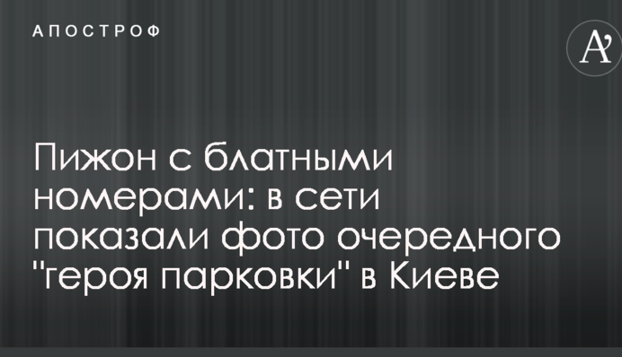 Піжон з блатними номерами: в мережі показали фото чергового 