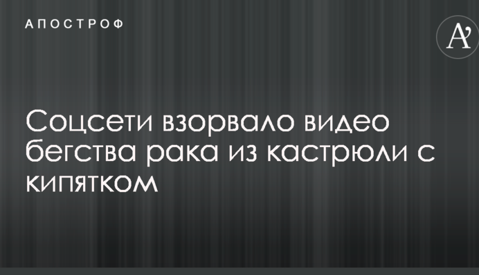 Соцсети взорвало видео бегства рака из кастрюли с кипятком