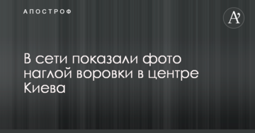 Серед білого дня: в мережі показали фото нахабної злодійки в центрі Києва