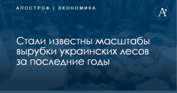 Стали известны масштабы вырубки украинских лесов за последние годы: опубликована инфографика