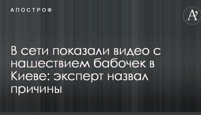В сети показали видео с нашествием бабочек в Киеве: эксперт назвал причины