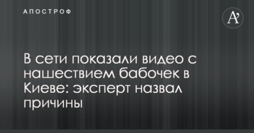 В мережі показали відео з навалою метеликів в Києві: експерт назвав причини