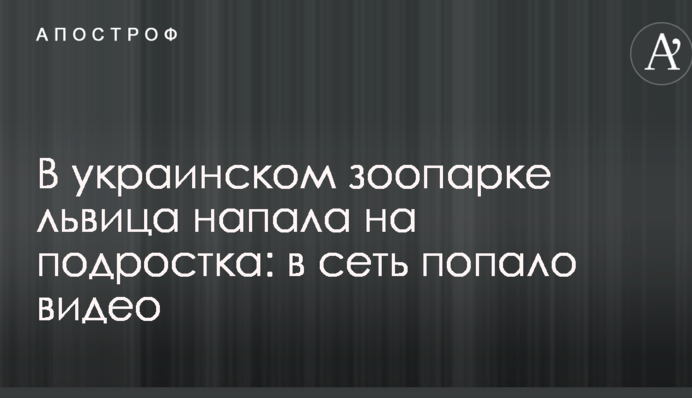 В українському зоопарку левиця напала на підлітка: в мережу потрапило відео