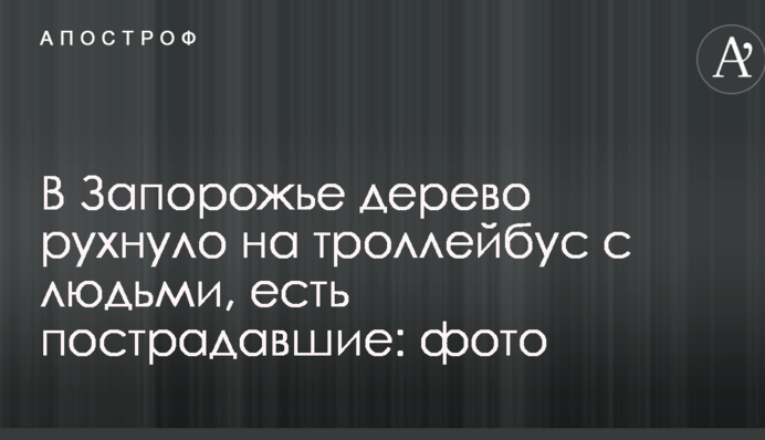 В Запорожье дерево рухнуло на троллейбус с людьми, есть пострадавшие: опубликованы фото