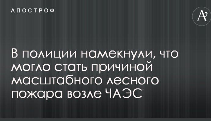 В полиции намекнули, что могло стать причиной масштабного лесного пожара возле ЧАЭС