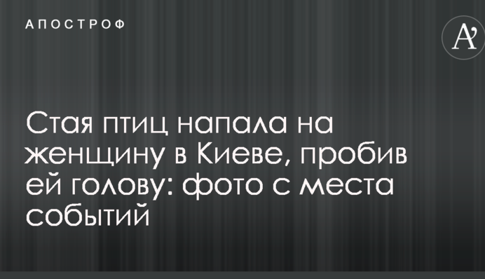 Стая птиц напала на женщину в Киеве, пробив ей голову: фото с места событий