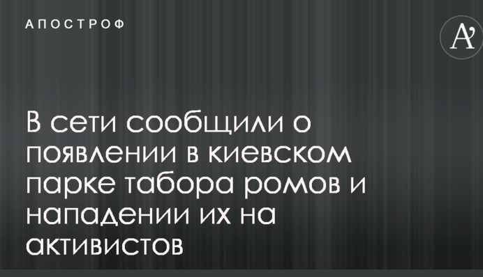 В сети сообщили о появлении в киевском парке табора ромов и нападении их на активистов: фото