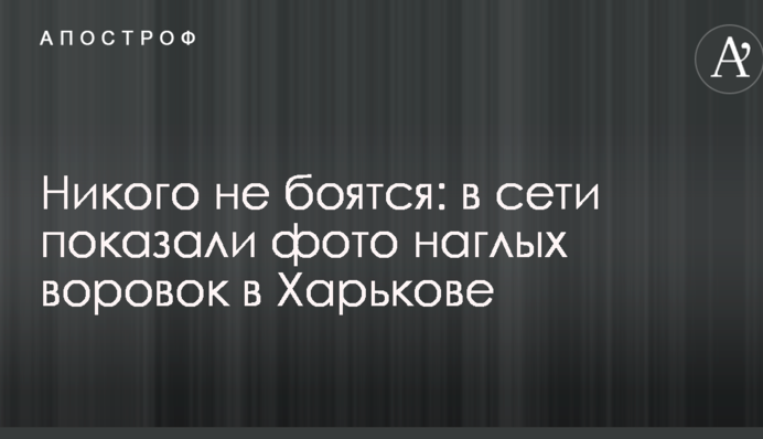 Никого не боятся: в сети показали фото наглых воровок в Харькове