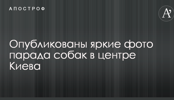 Центр Киева заполонили собаки одной породы: яркие эксклюзивные фото