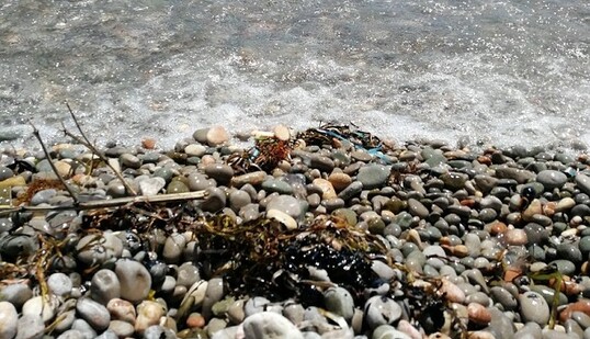 Невозможно купаться: в сети показали новые печальные фото из Крыма