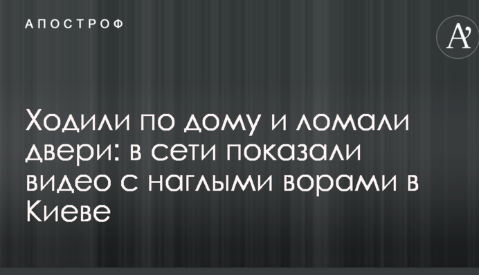 Ходили по дому и ломали двери: в сети показали видео с наглыми ворами в Киеве