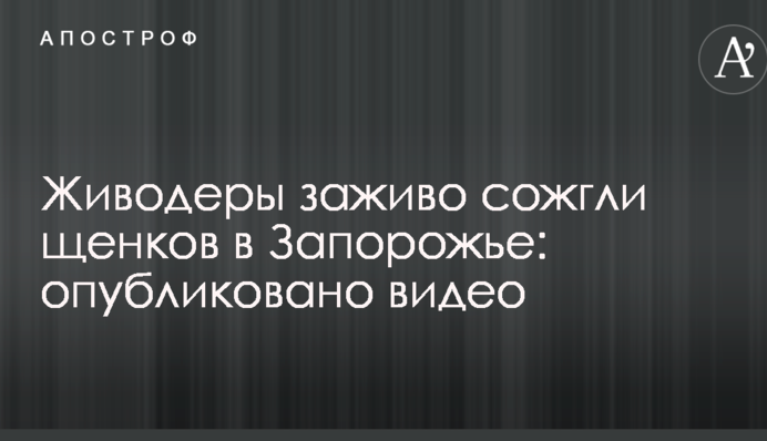 Шкуродери заживо спалили цуценят в Запоріжжі: опубліковано відео